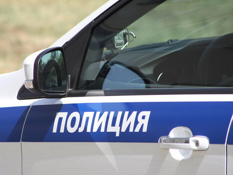 Житель Тульской области осужден за применение насилия в отношении полицейского