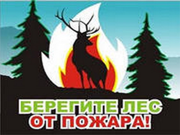 Халатность МЧС. Пожар в памятнике природы Сосновый БОР