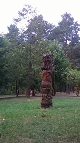 Жалка сегодня