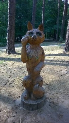 Жалка сегодня