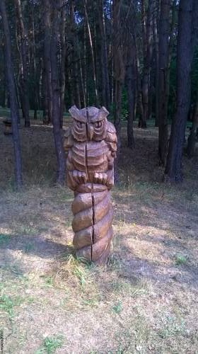 Жалка сегодня
