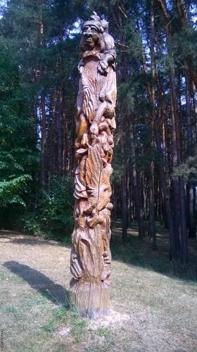 Жалка сегодня