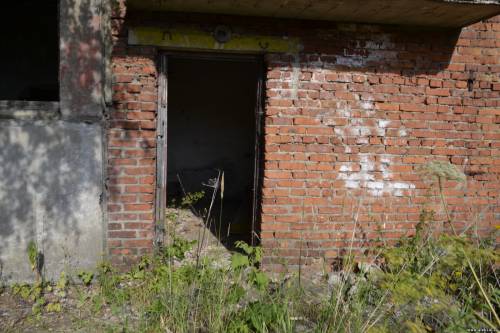 _DSC0646