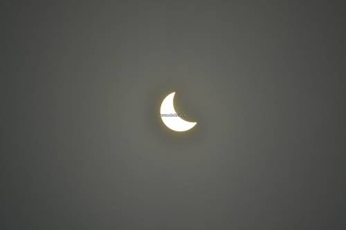 _DSC1116