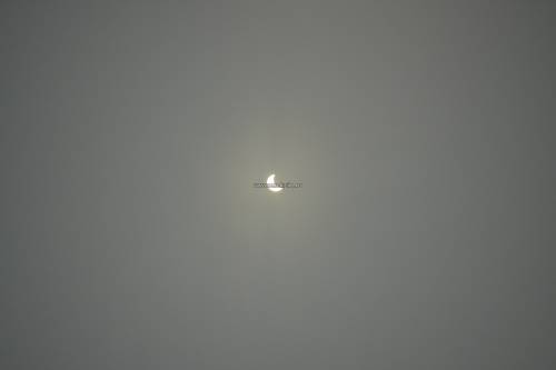 _DSC1105
