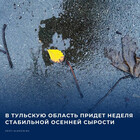 Осень вступила в права: дождь и прохлада неделю напролёт