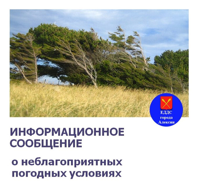 Шквальный ветер до 17 м/с обрушится на Тульскую область