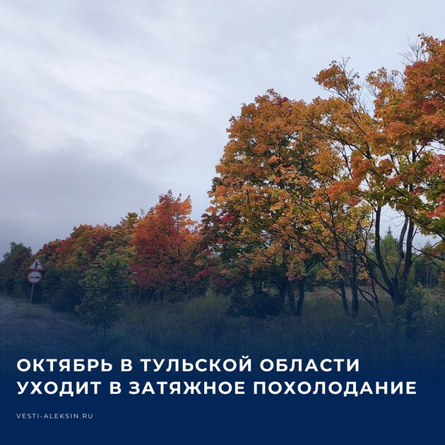 Предстоящая неделя в Тульской области станет финальной чертой между затянувшимся теплом и глубокой осенью. В