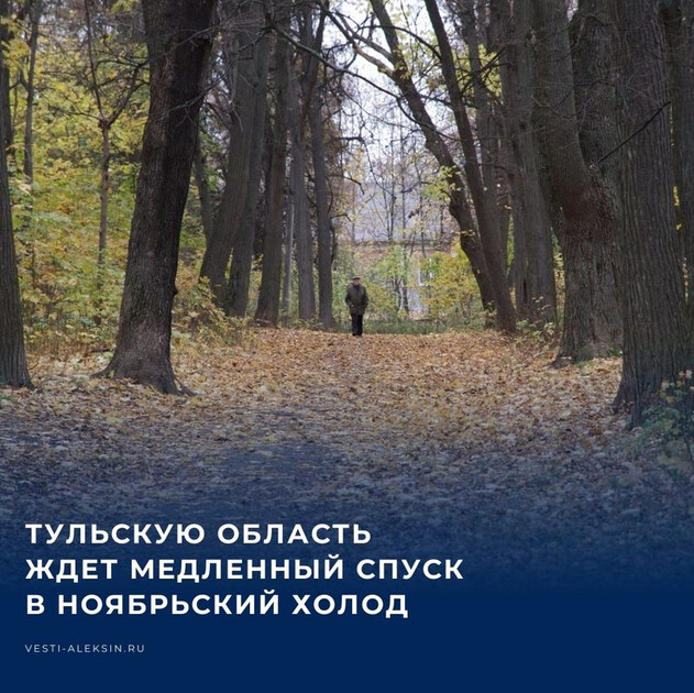 Тульскую область ждет классическая температурная лестница вниз — возвращения к летним показателям больше не предвидится.