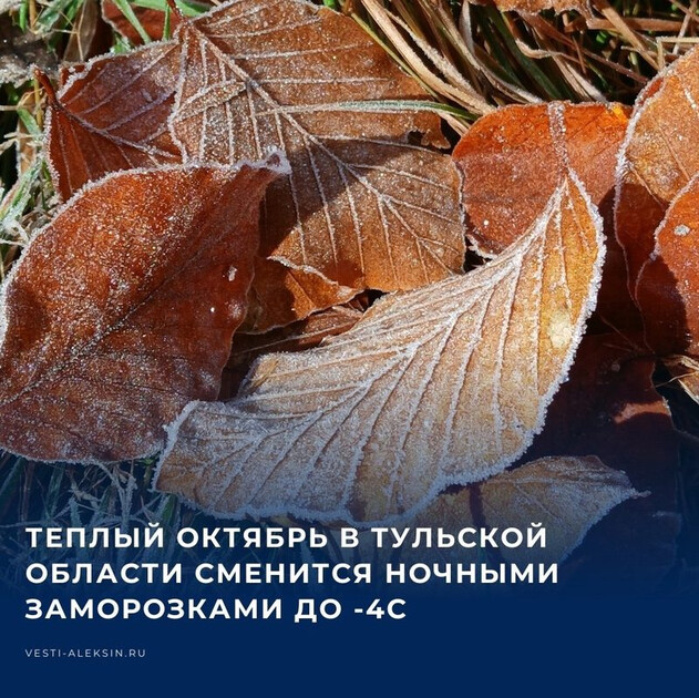 Теплый октябрь выходит на финишную прямую. Если на этой неделе регион еще сможет наслаждаться отметками