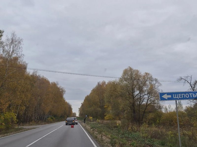 У деревни Щепотьево под Алексином произошло ДТП