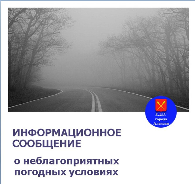 Туман накроет Тульскую область ночью 18 октября