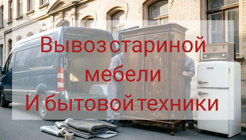 Андрей Алексин спасает холодильники от леса и дарит гирлянды к Новому году