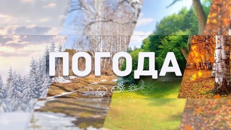 Тульская погода 25 октября: облачно, ветер и небольшой мороз