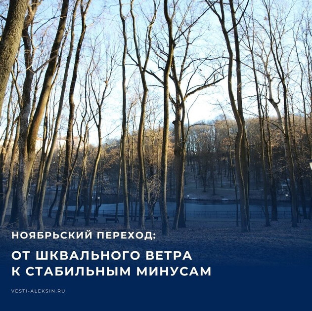 Ноябрь в Тульской области выдаст резкий климатический переход, разделив месяц на три контрастных эпизода.